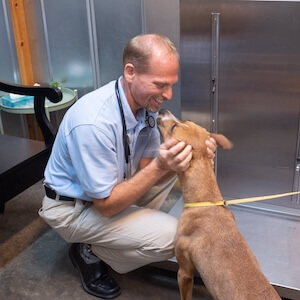 decor image on All Creatures Animal Hospital